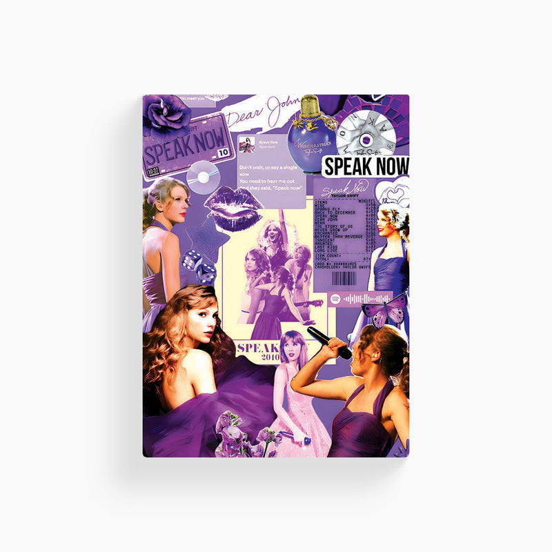 Taylor Swift Speak Now Art - Poster