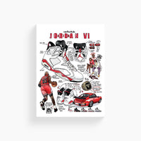 Air Jordan 6 Flyer Poster