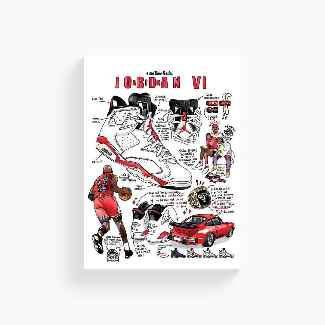 Air Jordan 6 Flyer Poster